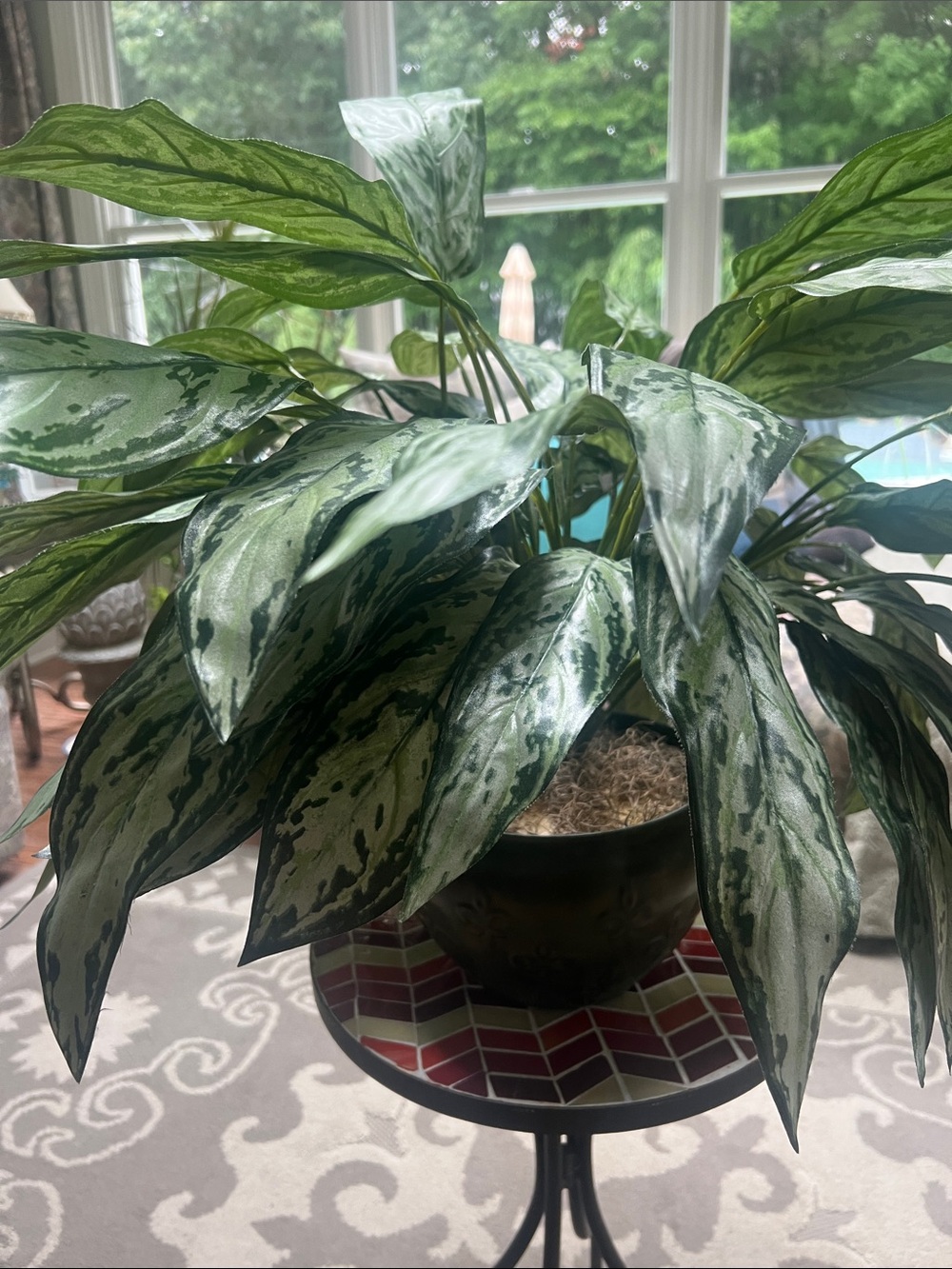 Chinese Evergreen (Aglaonema Decorative Faux Green Variegated Houseplant in Vase